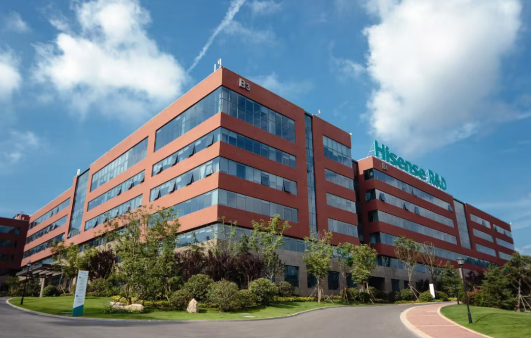 1694397055523200.jpg 2.jpg