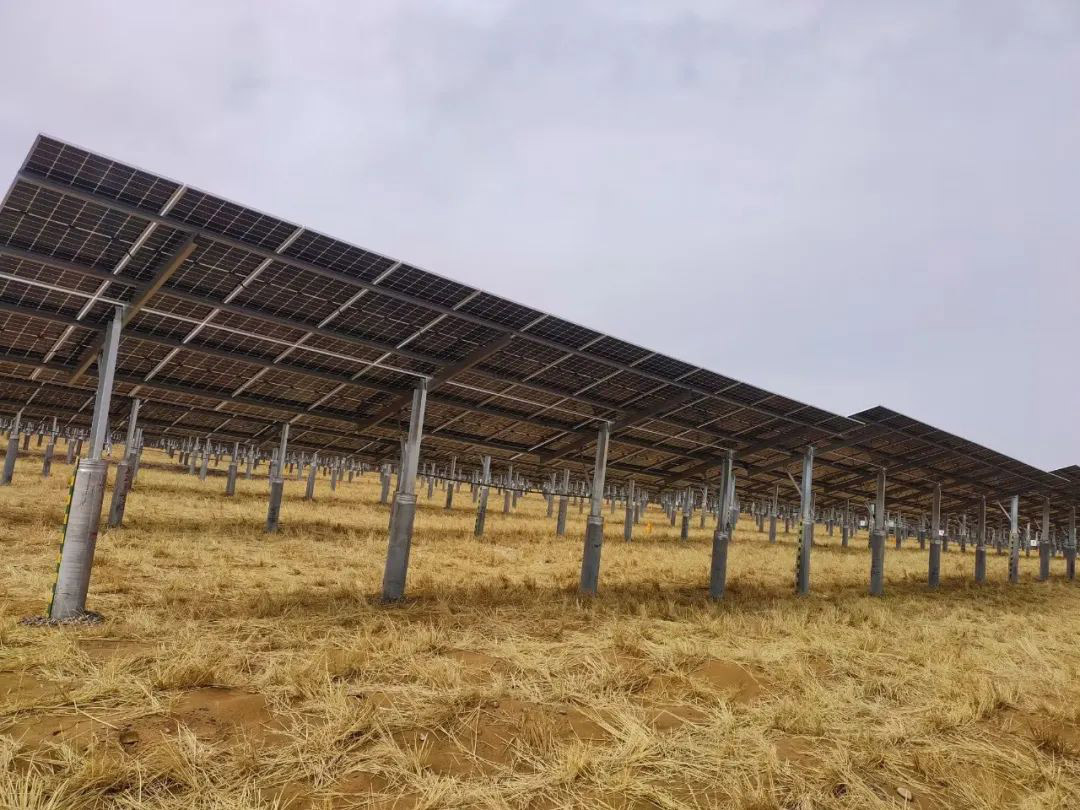 1701133435378803.jpg 4.jpg