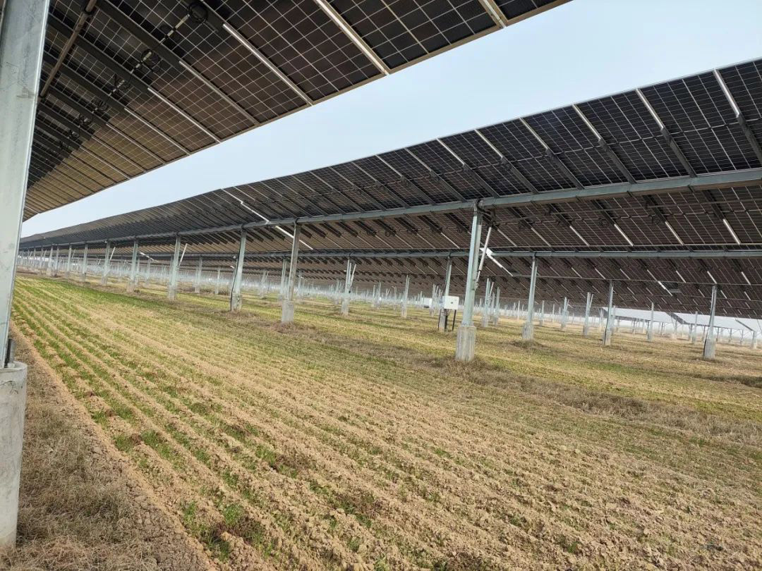 1702284392970506.jpg 1.jpg