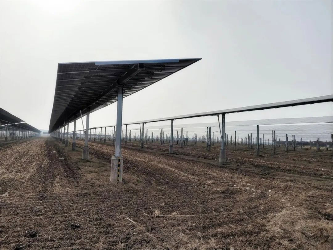 1702284422187195.jpg 3.jpg