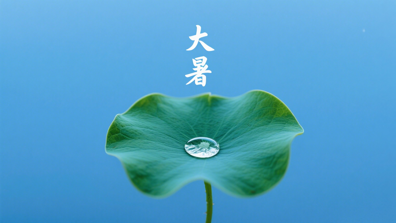 制作大暑海报.png